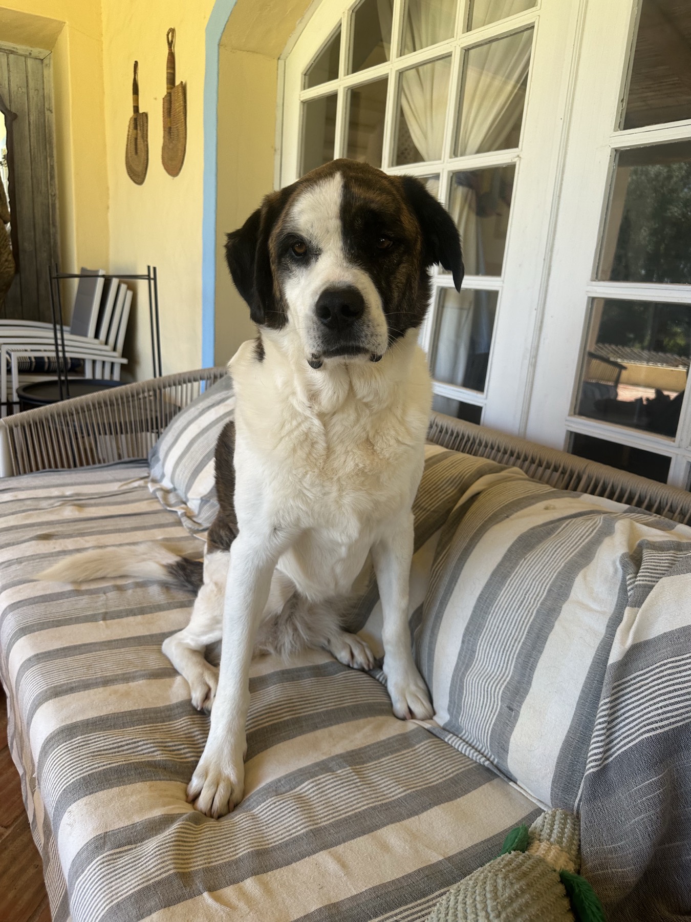 Lula, our Head of Security