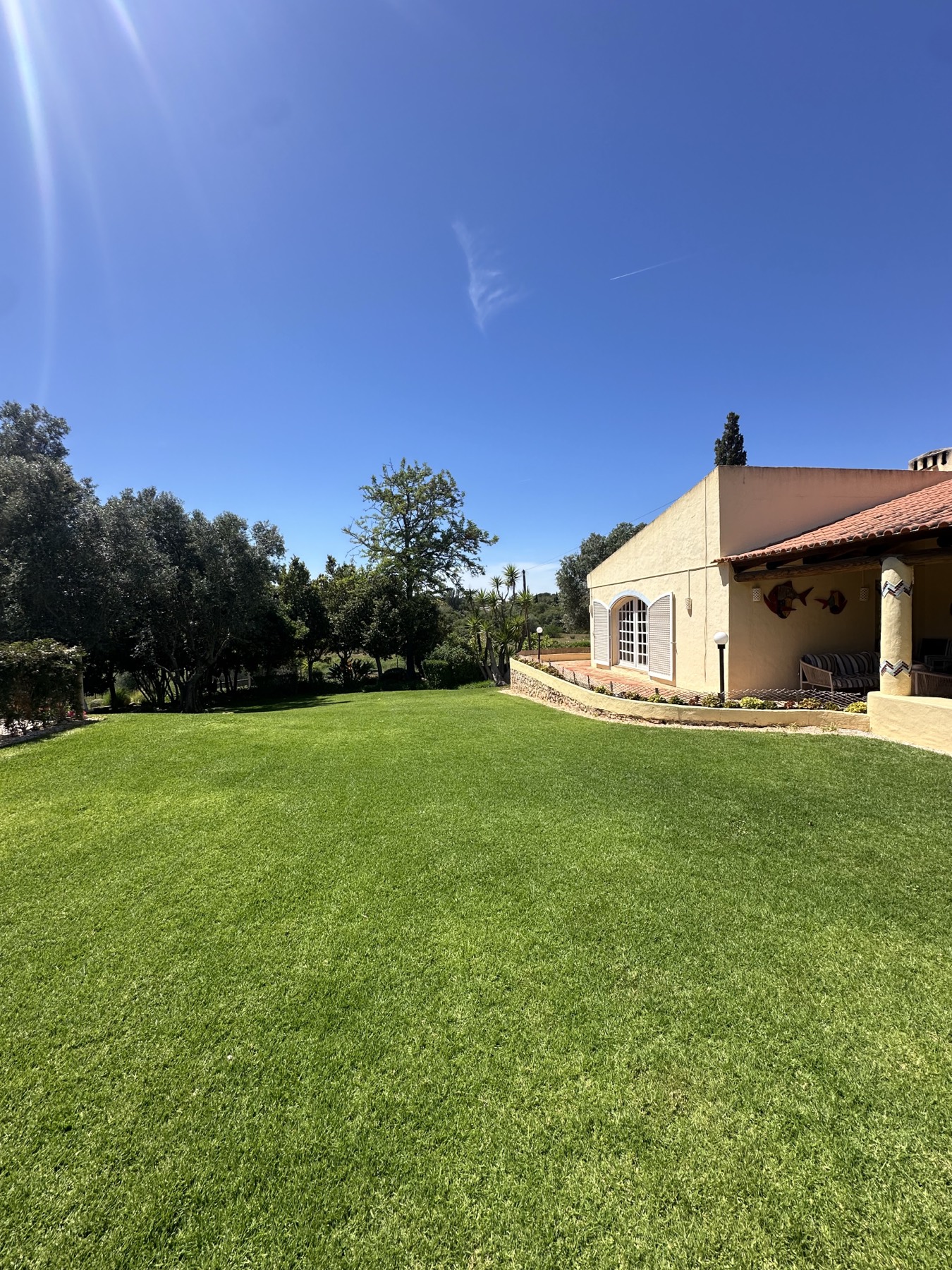 The lawn at Savannah